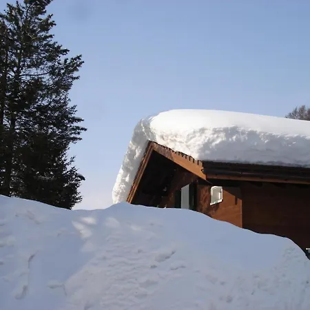 Haus Wick Holiday home Klosters